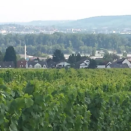 Weingut Leis *
