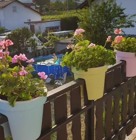 Weingut Leis * Oestrich-Winkel