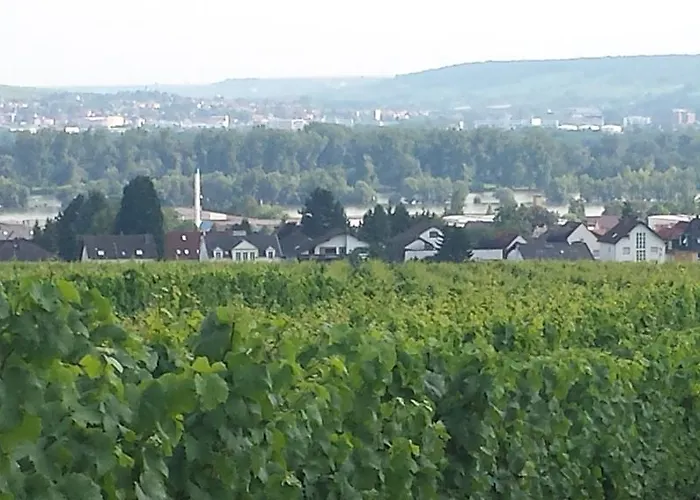 Weingut Leis *