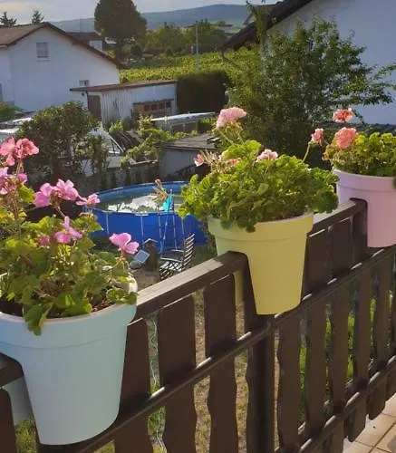 Weingut Leis * Oestrich-Winkel