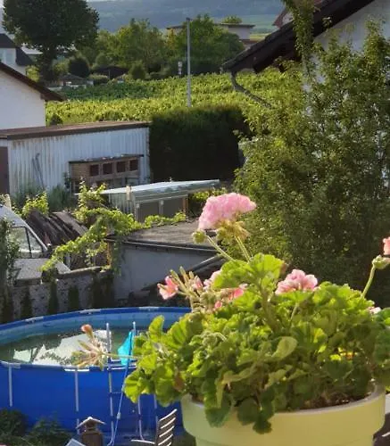 Appartement Weingut Leis *